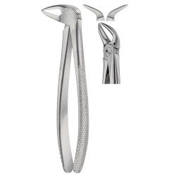Tooth Extracting Forceps